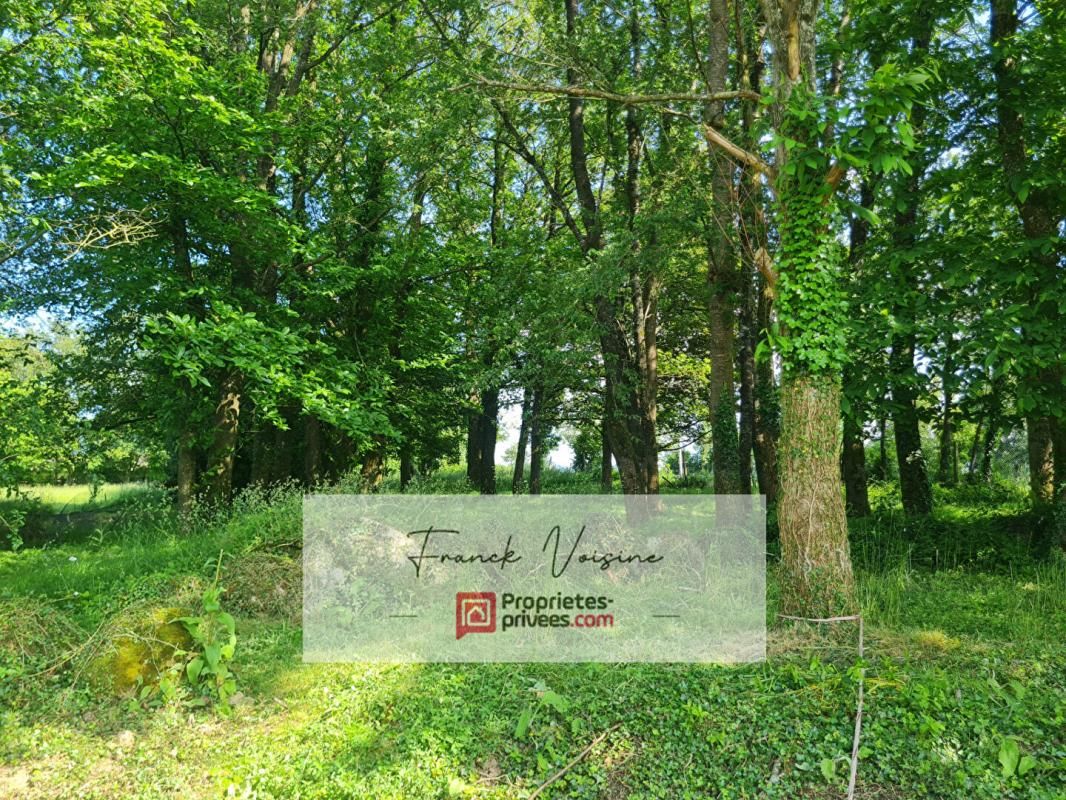 LES HERBIERS Maison A VENDRE - Saint Paul En Pareds 207 M2 env - 6 Chambres - Piscine sur parc arboré de 4380 m2 Env 4