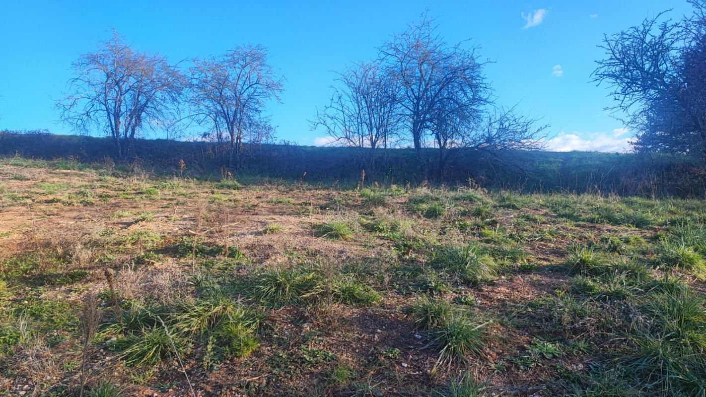 REALMONT TERRAIN CONSTRUCTIBLE AVEC CU RÉALMONT 1100 m2 3