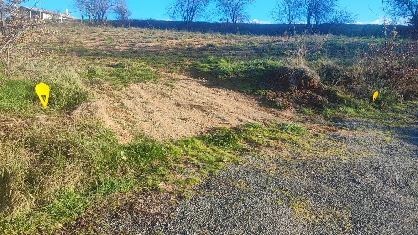 REALMONT TERRAIN CONSTRUCTIBLE AVEC CU RÉALMONT 1100 m2 4