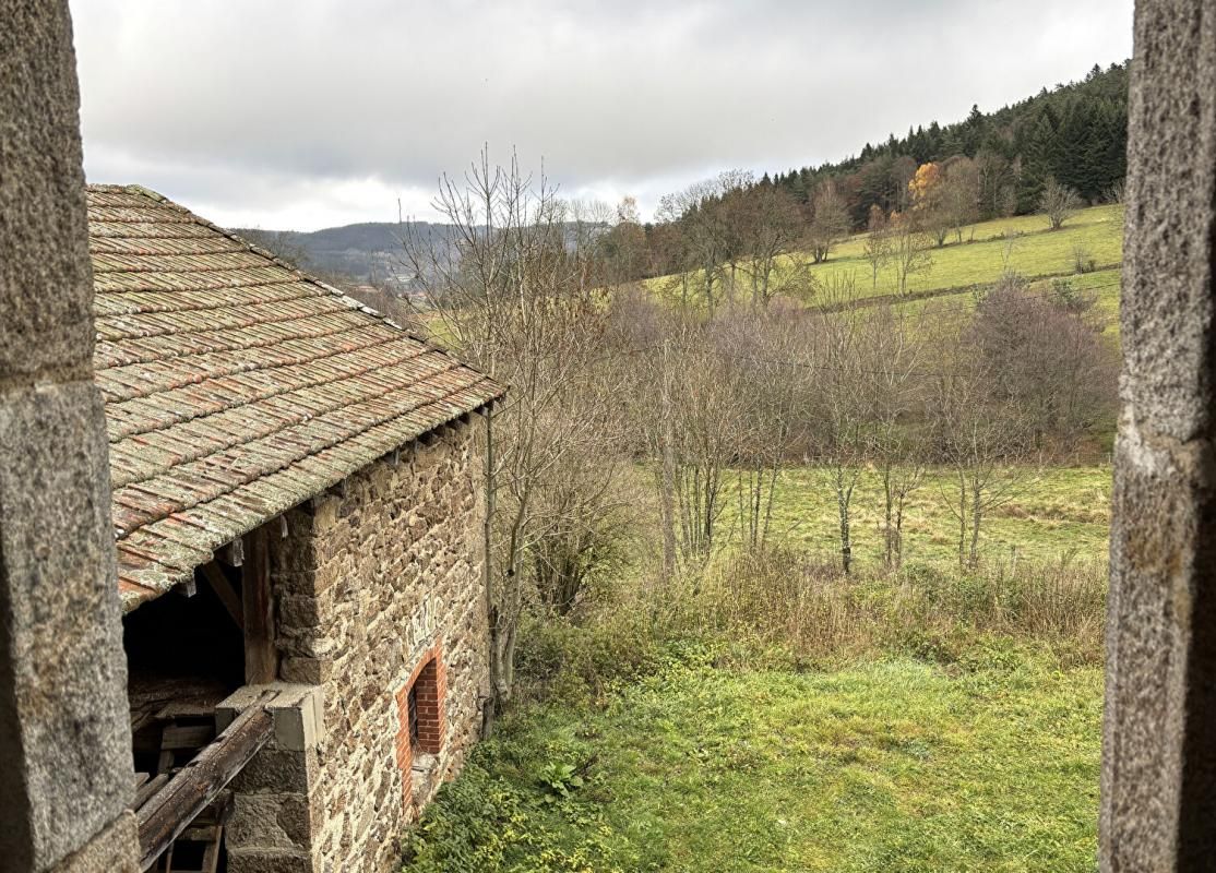 SAINT-ANTHEME A 5mn de SAINT ANTHEME, à la campagne. Ferme en pierre à rénover sur 2300m² de terrain 3