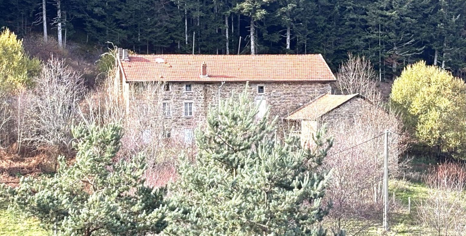 SAINT-ANTHEME A 5mn de SAINT ANTHEME, à la campagne. Ferme en pierre à rénover sur 2300m² de terrain 4