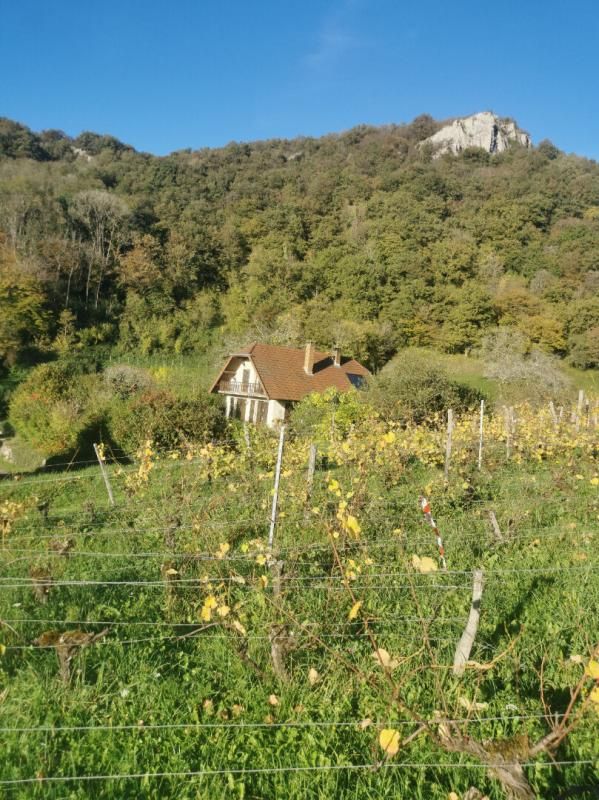 MESNAY Maison 132m² Arbois 2