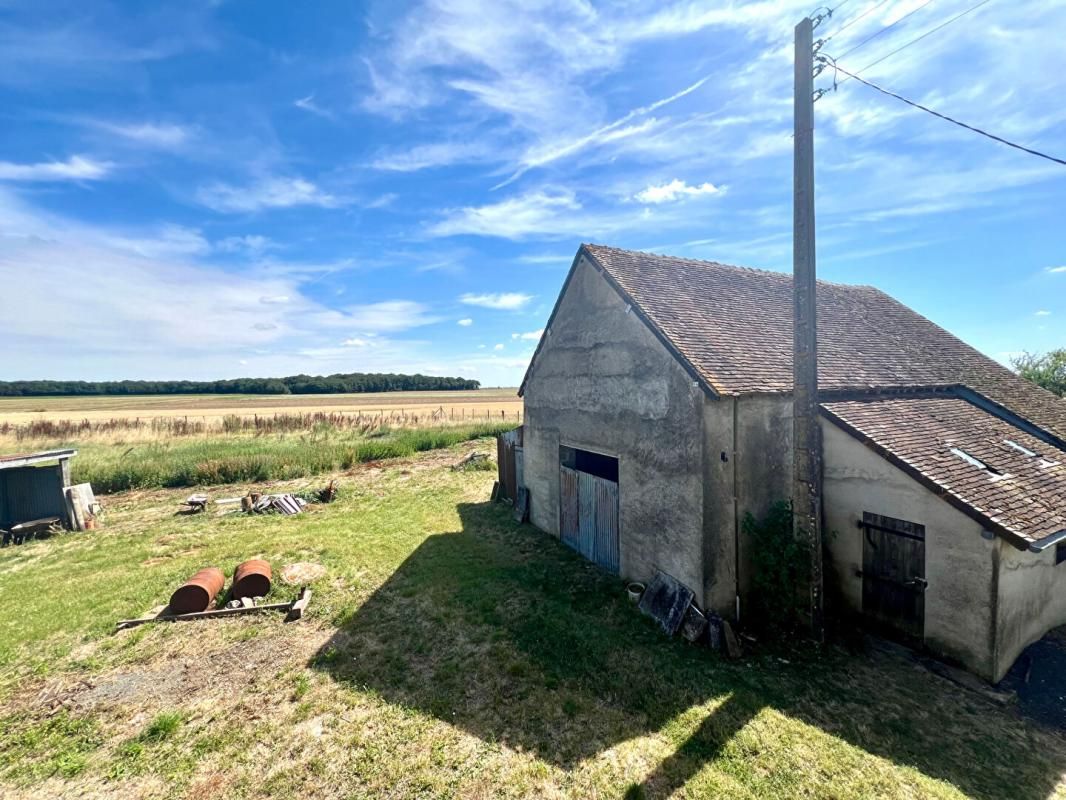 SELOMMES FERMETTE A RENOVER TERRAIN ENVIRON 6000 m2 4
