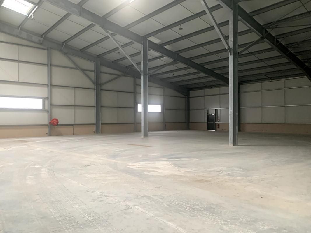 FOS-SUR-MER EXCLUSIVITE FOS SUR MER - ENTREPOT, LOCAL INDUSTRIEL 2.300 m² 3