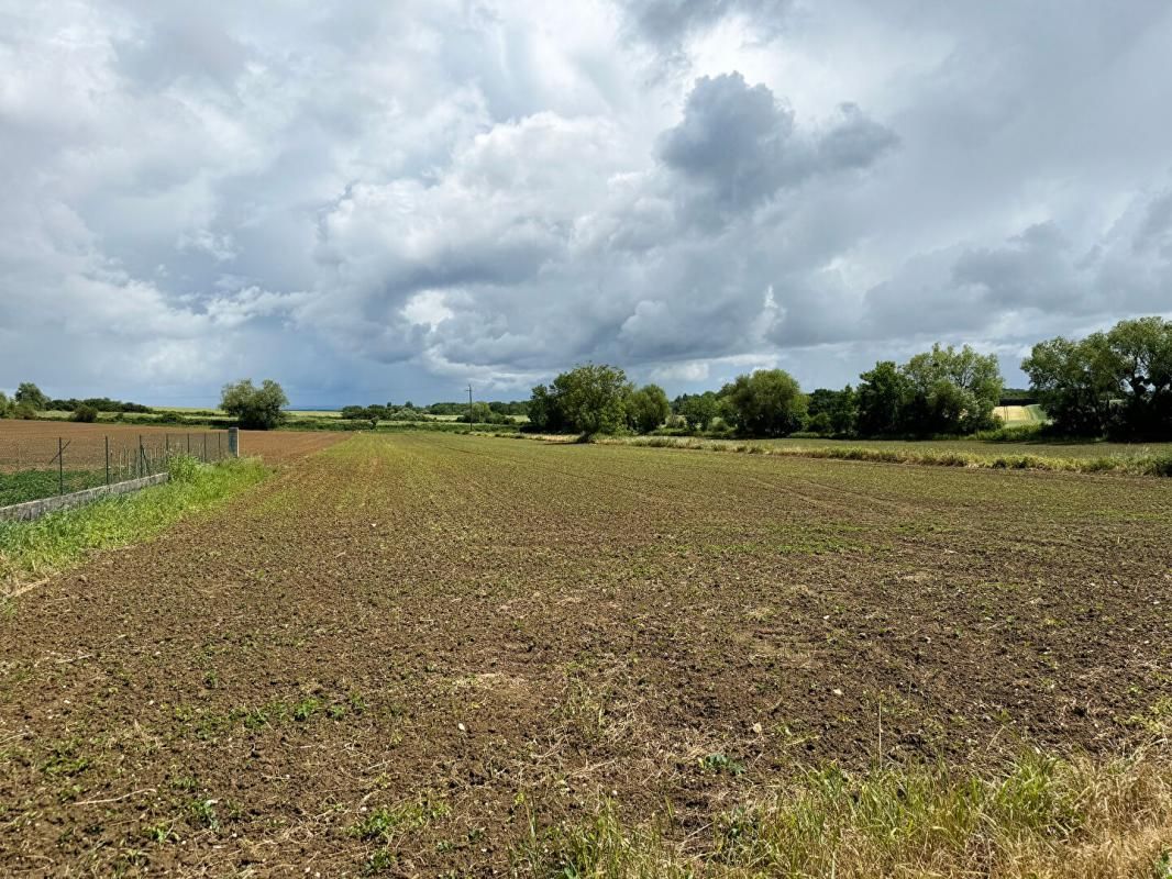 TART-LE-HAUT Terrain Tart le haut 9 018 m2 constructible et agricole 2