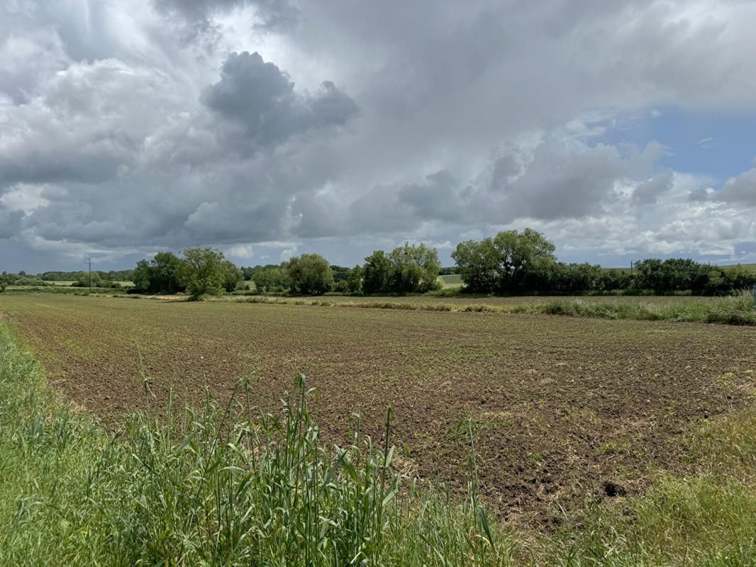 TART-LE-HAUT Terrain Tart le haut 9 018 m2 constructible et agricole 3