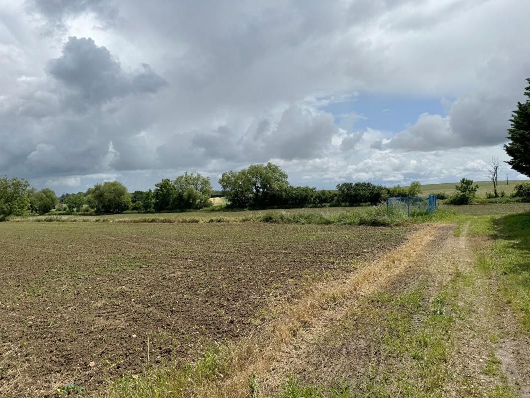 TART-LE-HAUT Terrain Tart le haut 9 018 m2 constructible et agricole 4