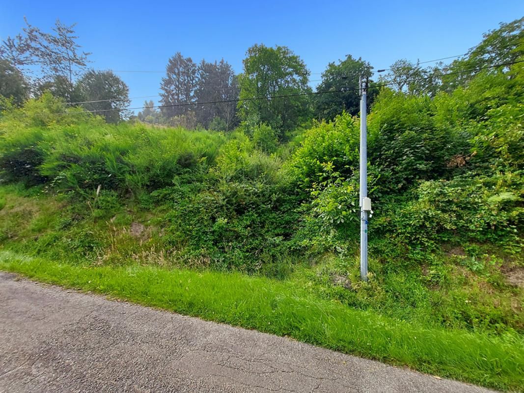 FELLERING Terrain Fellering 3489 m2 3