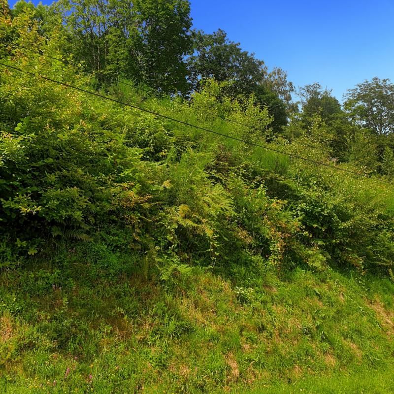 FELLERING Terrain Fellering 3489 m2 4