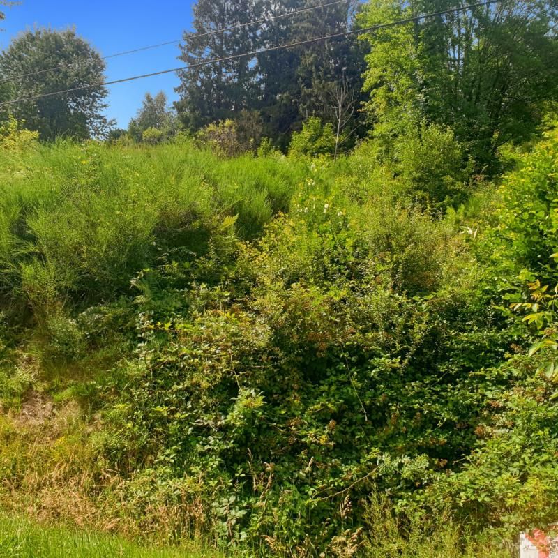 FELLERING Terrain Fellering 2000 m2 3