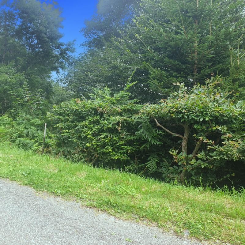 FELLERING Terrain Fellering 1490 m2 2