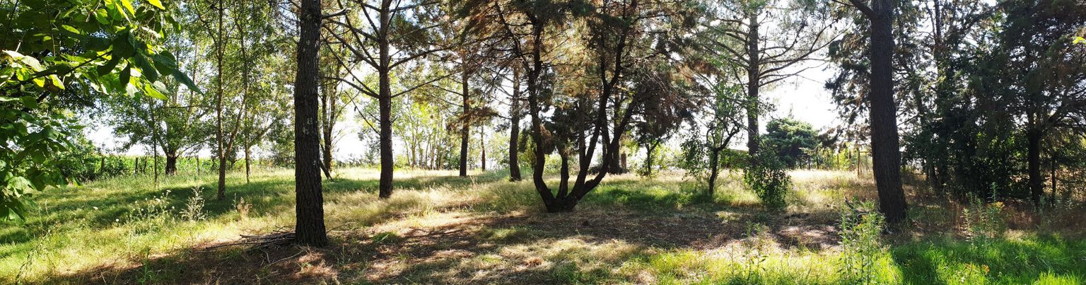 COURS-DE-MONSEGUR Maison Levignac De Guyenne 7 pièce(s) 153 m2 3