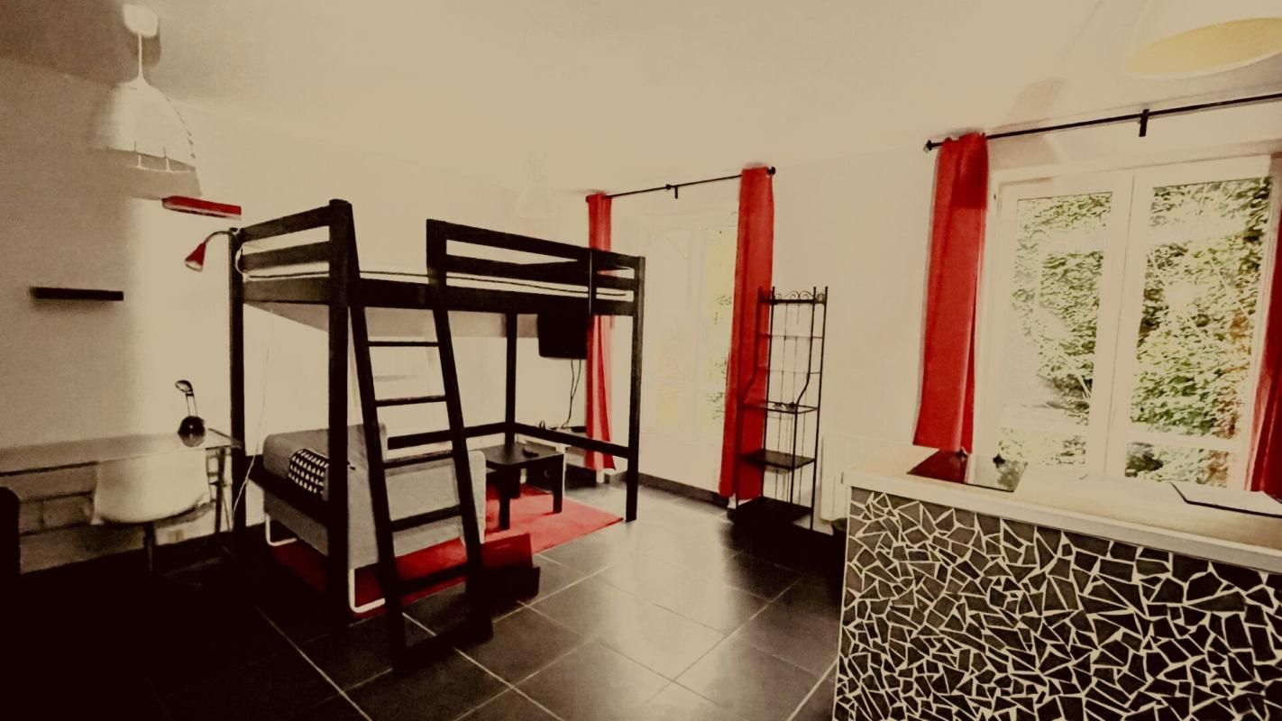 SAINT-ETIENNE Studio meublé avec locataire en place à Saint Etienne 1 pièce 27 m2 1