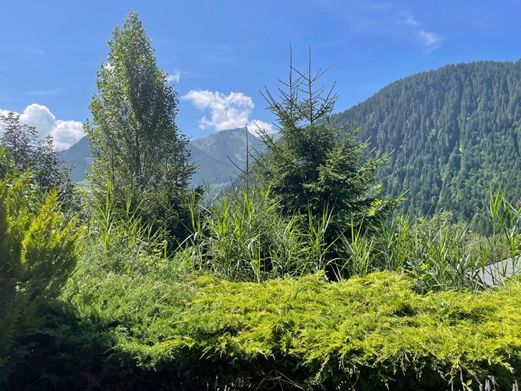 Chatel à 800m du centre Appt T3 de 40.26 m2 dans chalet, calme et ensoleillé