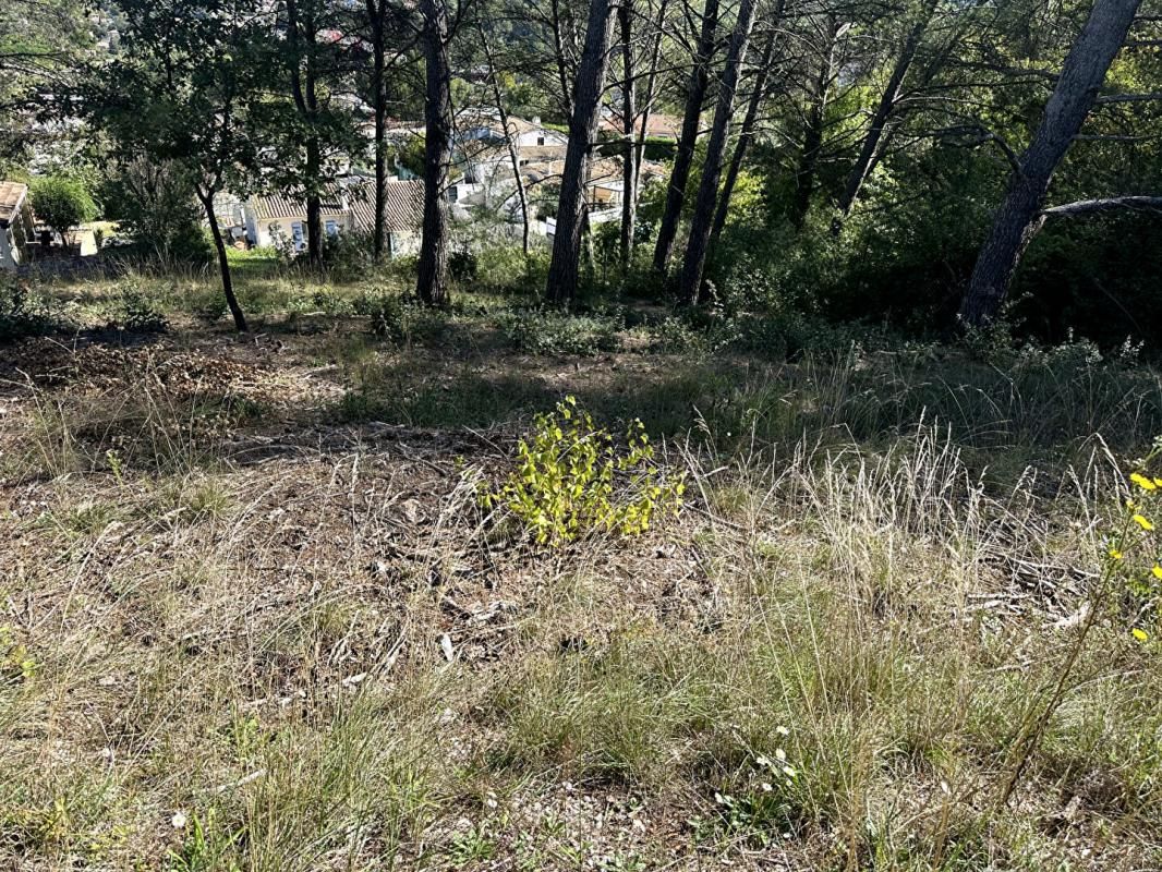 LA DESTROUSSE Terrain constructible 2098m² 4