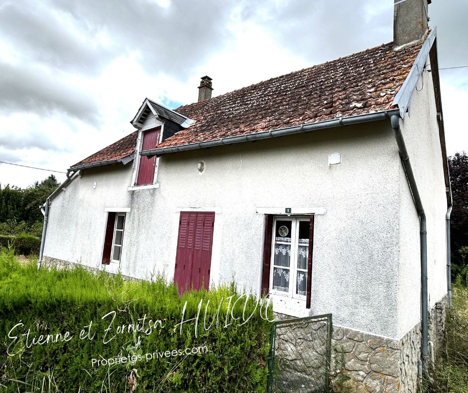 LANGE Propriété de 2 Maisons à Langé 2
