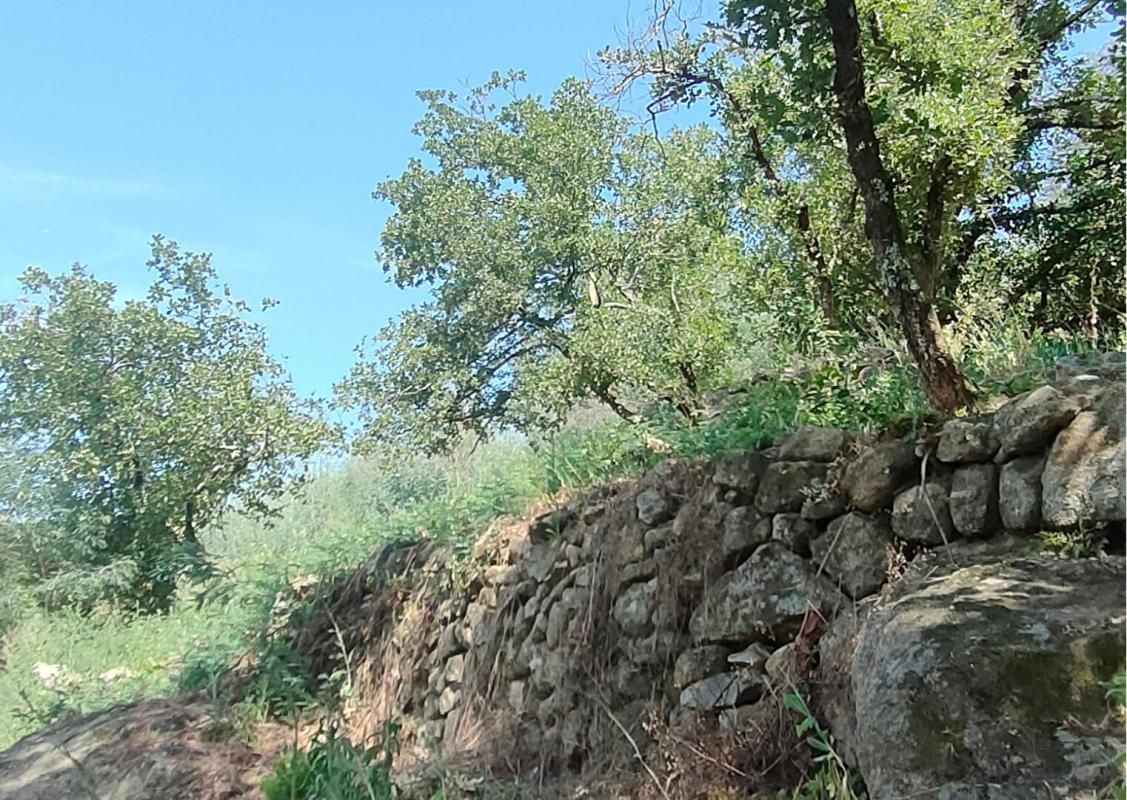Terrain à bâtir avec vue à 180° dans un village tranquille, à 10 min d'Aubenas ? 785 m², viabilisé, permis accordé