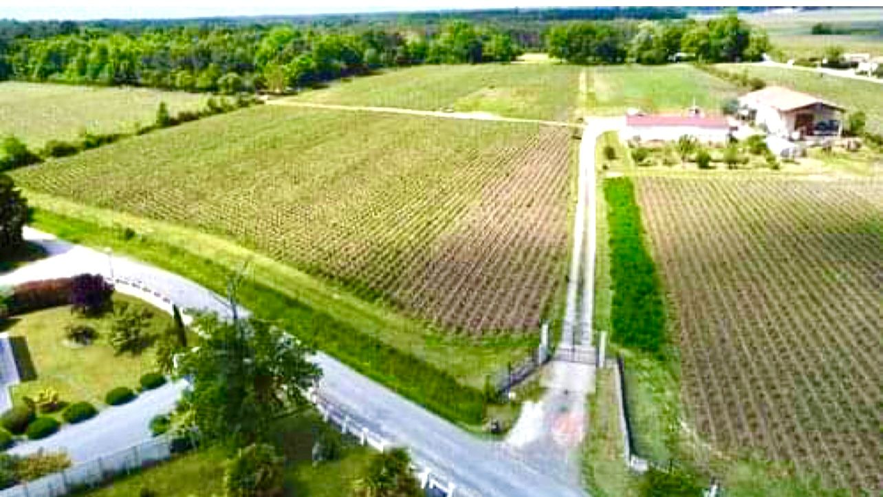 CISSAC-MEDOC Château 720 m2 2