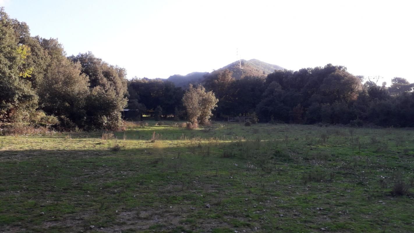 Terrain Corte 4360 m2