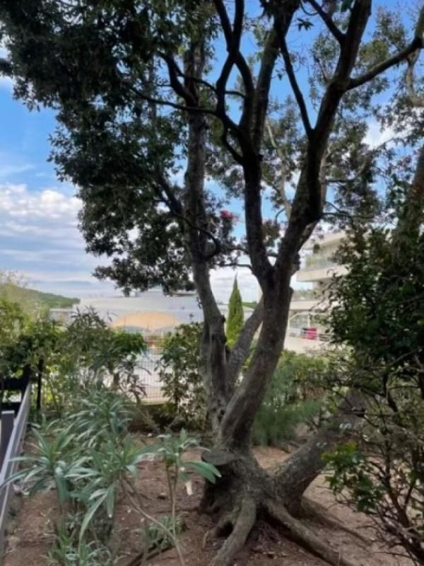 LE CAP D'AGDE APPARTEMENT ,PROXIMITÉ DU PORT ,QUAI PRINIPALE  ,CENTRE 4