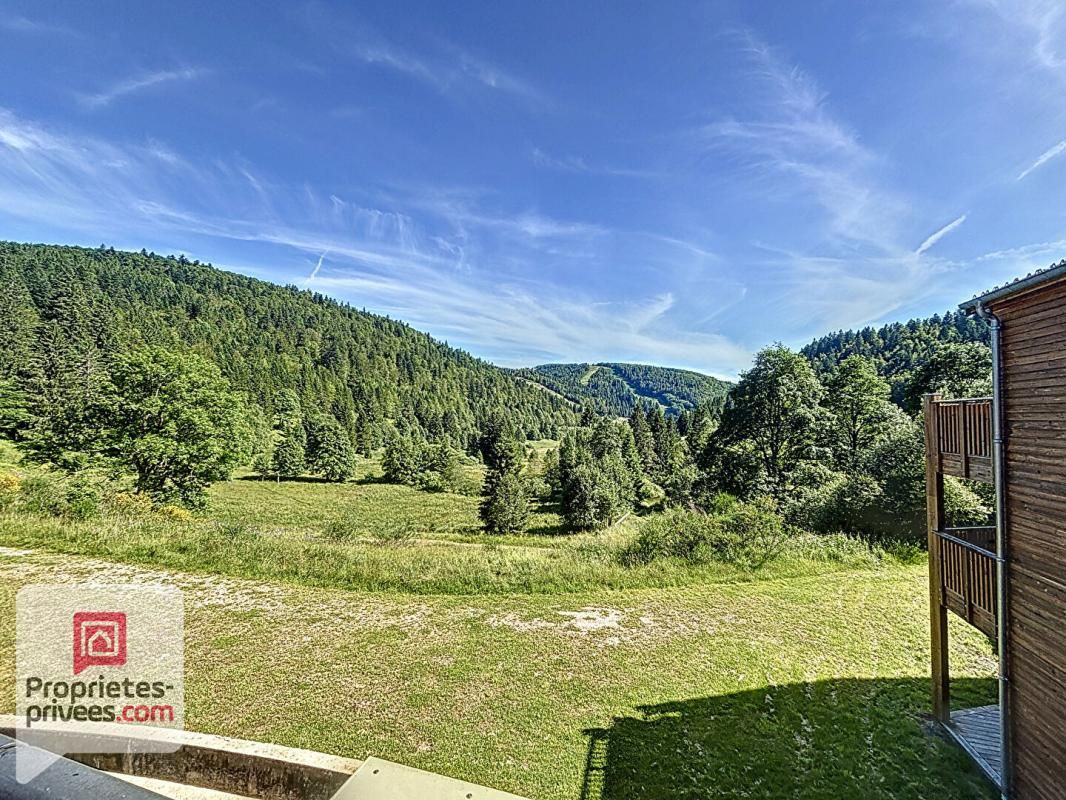LA BRESSE Appartement Meublé La Bresse 2 pièce(s) 41 m2 3
