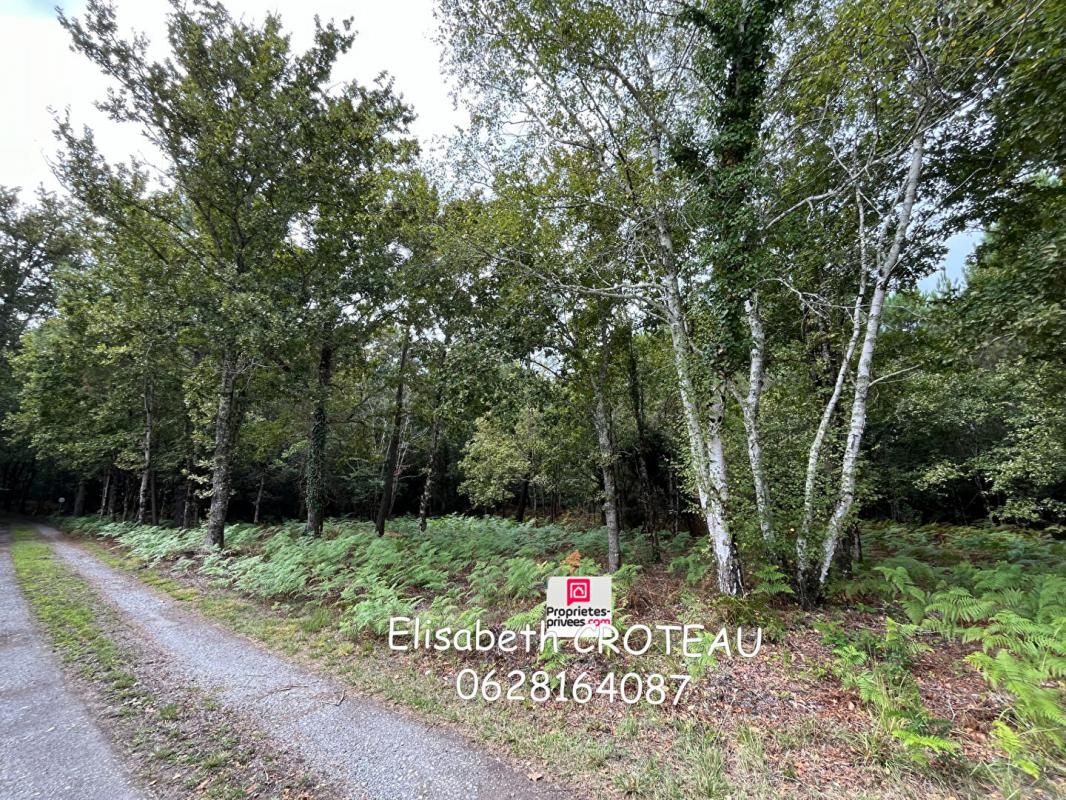 Terrain 2950 m2 Sanguinet 40460