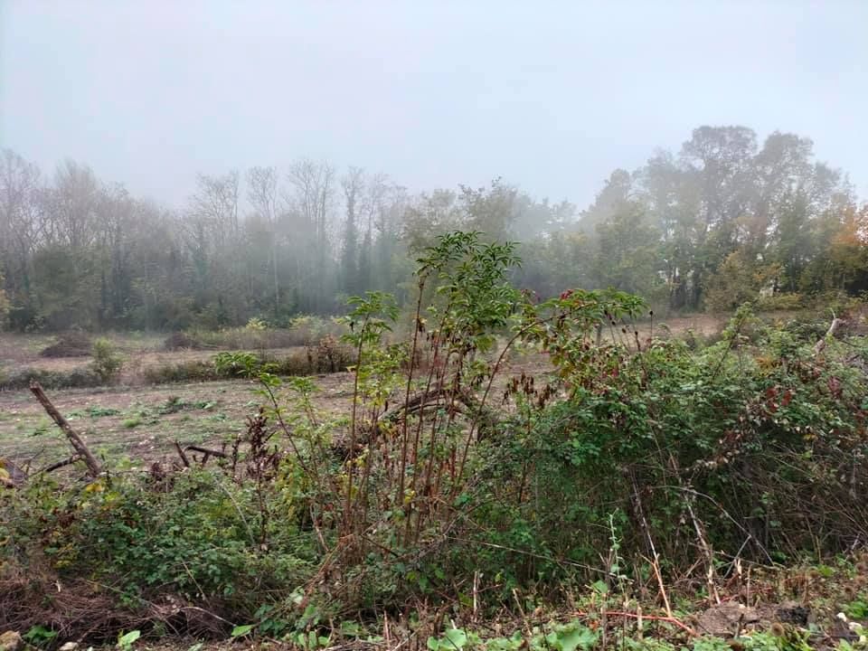 LECTOURE Terrain constructible Lectoure (32700) 2 ha 2