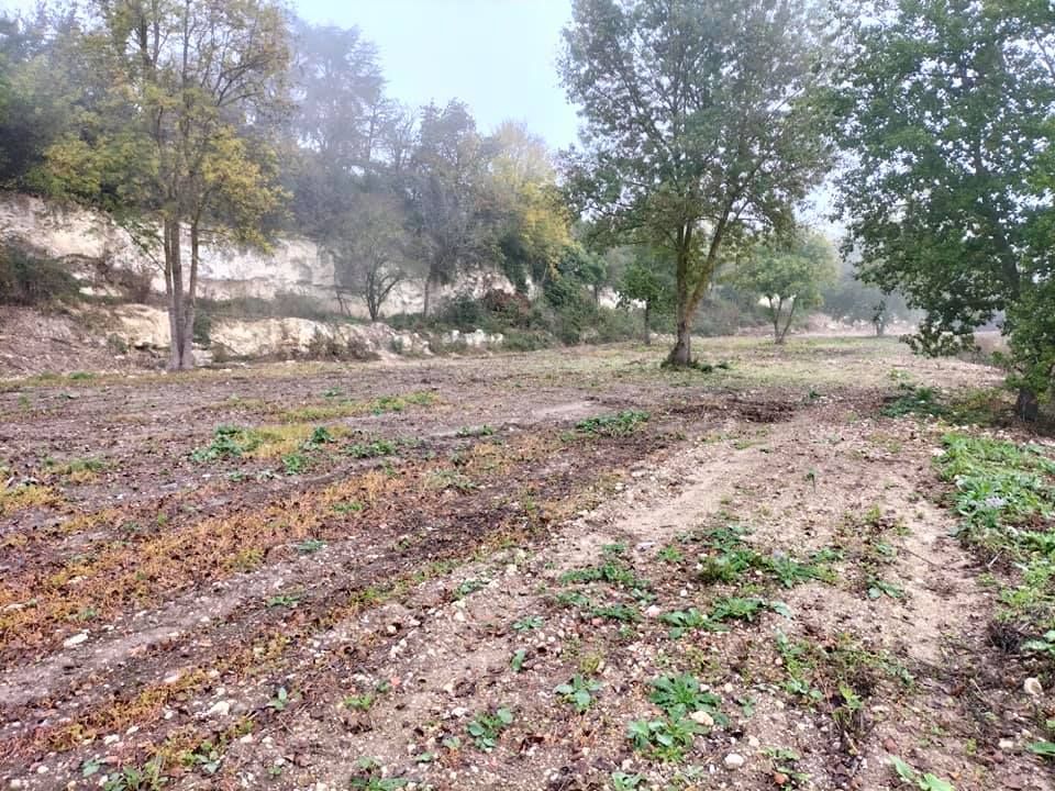 LECTOURE Terrain constructible Lectoure (32700) 2 ha 3