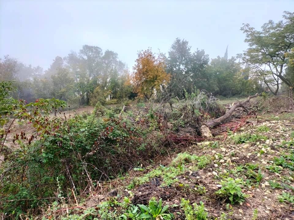 LECTOURE Terrain constructible Lectoure (32700) 2 ha 4