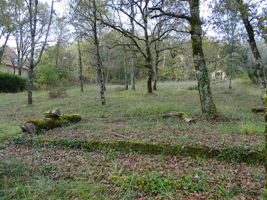 AUBAS Maison Montignac 4 pièce(s) 90 m2 4