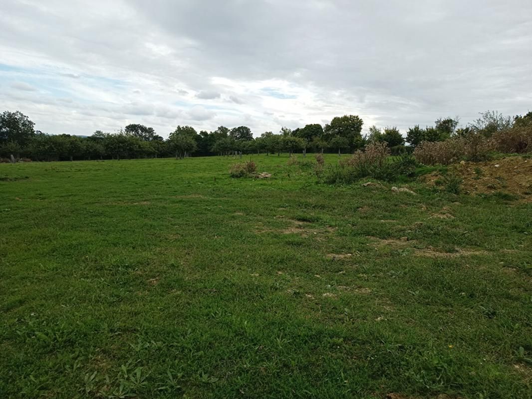 Terrain 35000 m2
