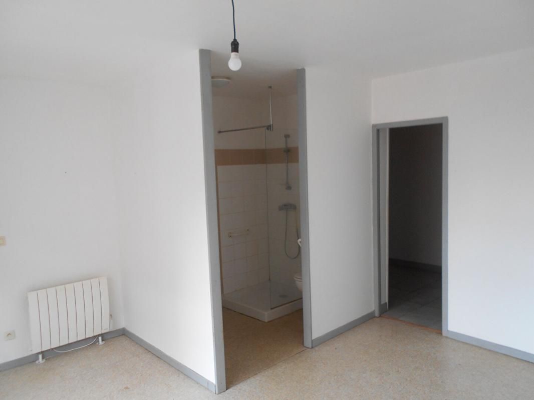 MONTLAUR Grande maison en pierre à Montlaur 12400 - 87990 4