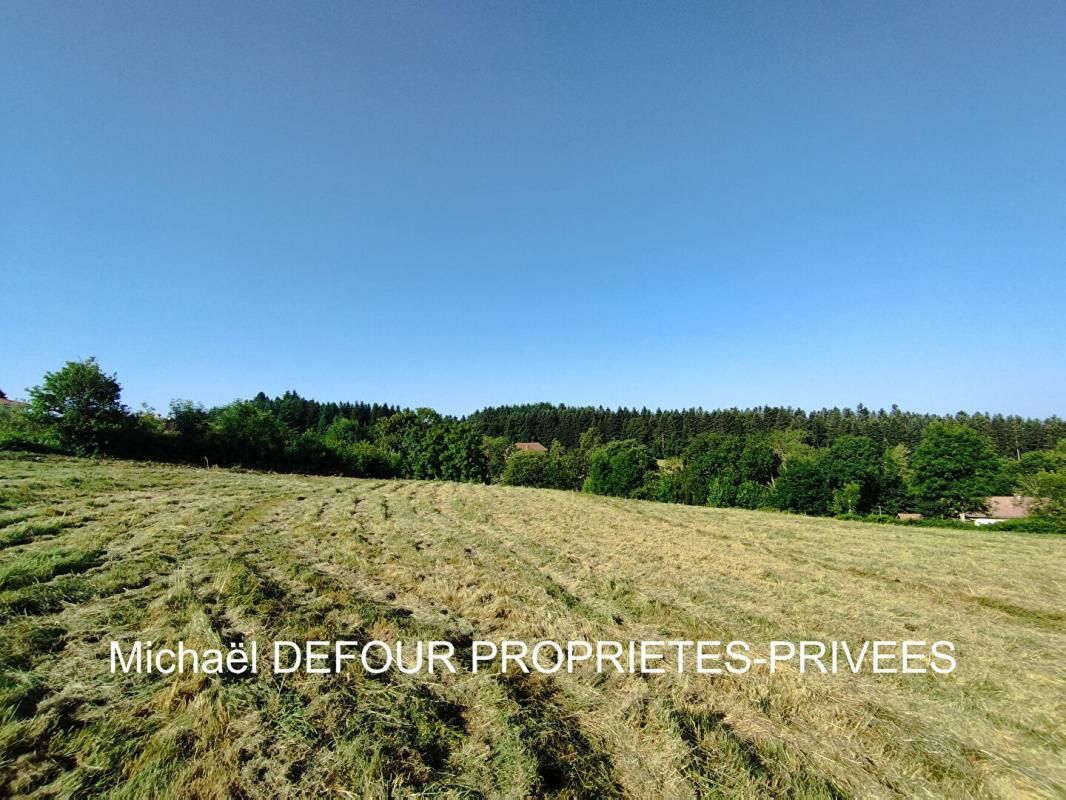 RAUCOULES Raucoules 43290  terrain de 4926m² dont 3551m² constructibles 2