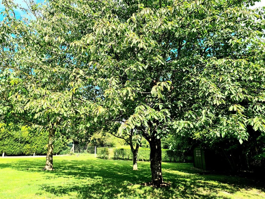 LA CROIX-SAINT-LEUFROY Au calme, agréable propriété de 150 m2 sur sous-sol total - 4 chambres sur un terrain de 1.961 m2 - Prix : 364.000 4