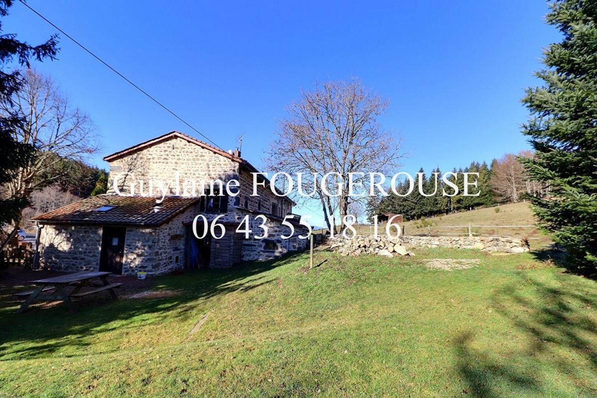 SAINT-ANTHEME Maison 20 pièce(s) 330 m2 2