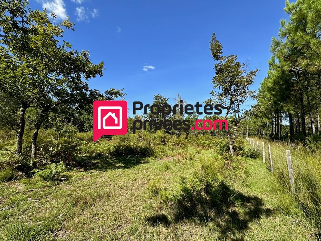 VENDAYS-MONTALIVET VENDAYS-MONTALIVET - Terrain de loisirs 2991 m2 avec Hangar agricole 4