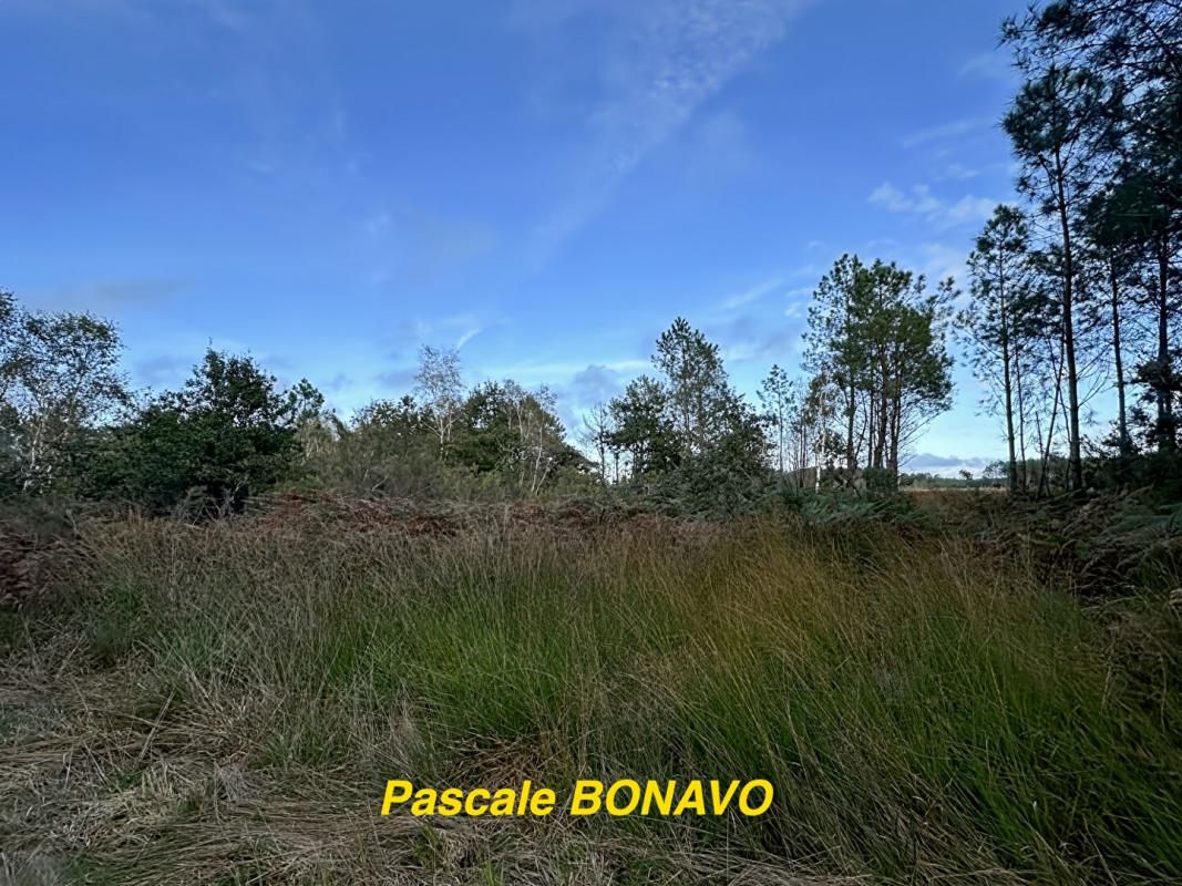 VENDAYS-MONTALIVET VENDAYS -MONTALIVET- Terrain de loisirs 2770m2 3