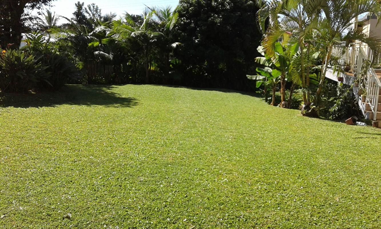 SAINT-BENOIT TERRAIN PLAT  de 740 m² A BATIR 1