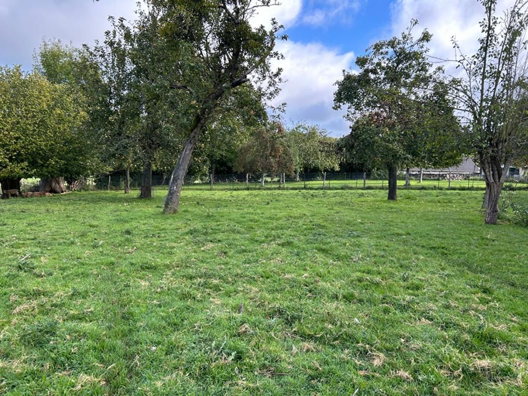 HERMIVAL-LES-VAUX 14100 Hermival les Vaux Maison 7 pièces - 5000 m² 221 000 Euros 3