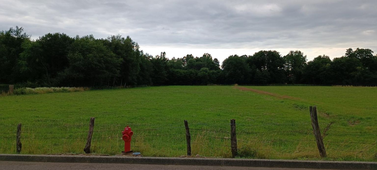 LUXEUIL-LES-BAINS Terrain constructible 6704 m2 2