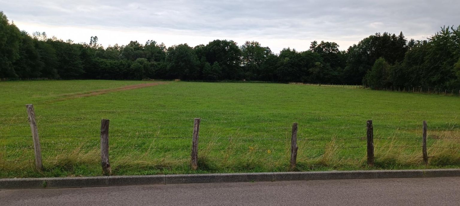 LUXEUIL-LES-BAINS Terrain constructible. 9159 M2 m2 2