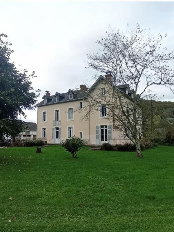 LOURDES DEMEURE DE MAITRE BEAU VOLUME 8 CHAMBRES - CADRE BUCOLIQUE PARC DE 3389 M² 2