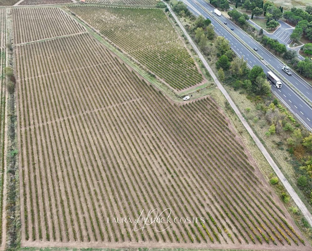 Propriété viticole de 16,5 Ha avec Hangar et Appartement