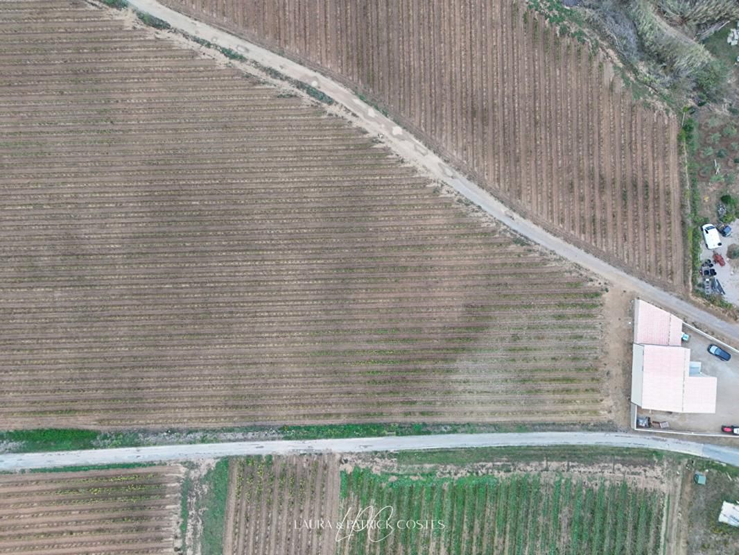 LEZIGNAN-CORBIERES Propriété viticole de 16,5 Ha avec Hangar et Appartement 2