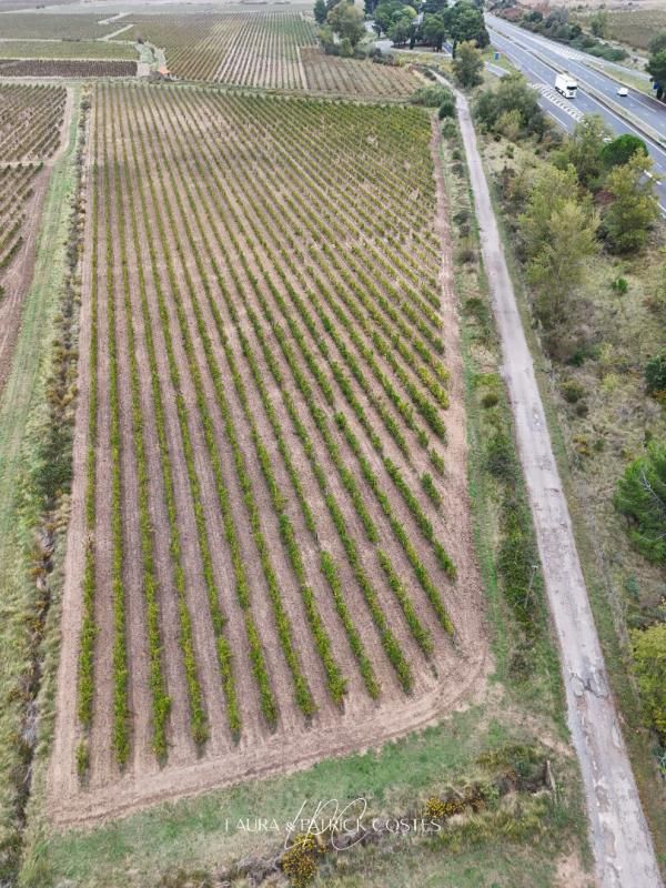 LEZIGNAN-CORBIERES Propriété viticole de 16,5 Ha avec Hangar et Appartement 3