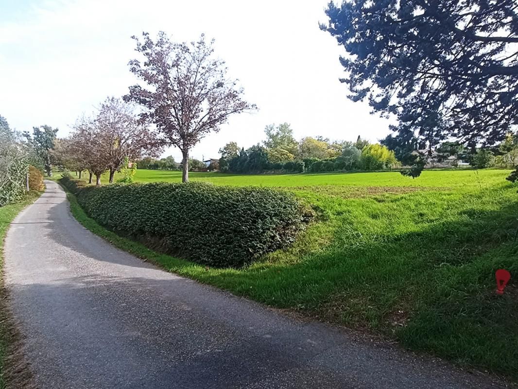 CARLUS Rare et Exclusif ! : Magnifique Terrain à bâtir de 1600 m2 4