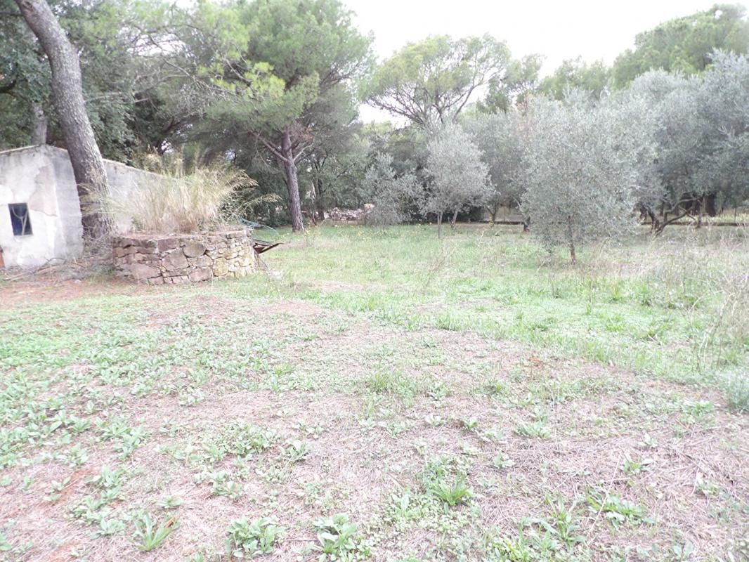 Le Cannet Des Maures TAB plat 1200 m2