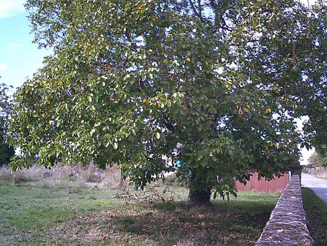 VENDEUVRE-DU-POITOU 86380 Saint Martin La Pallu, Terrain 685 m2 3