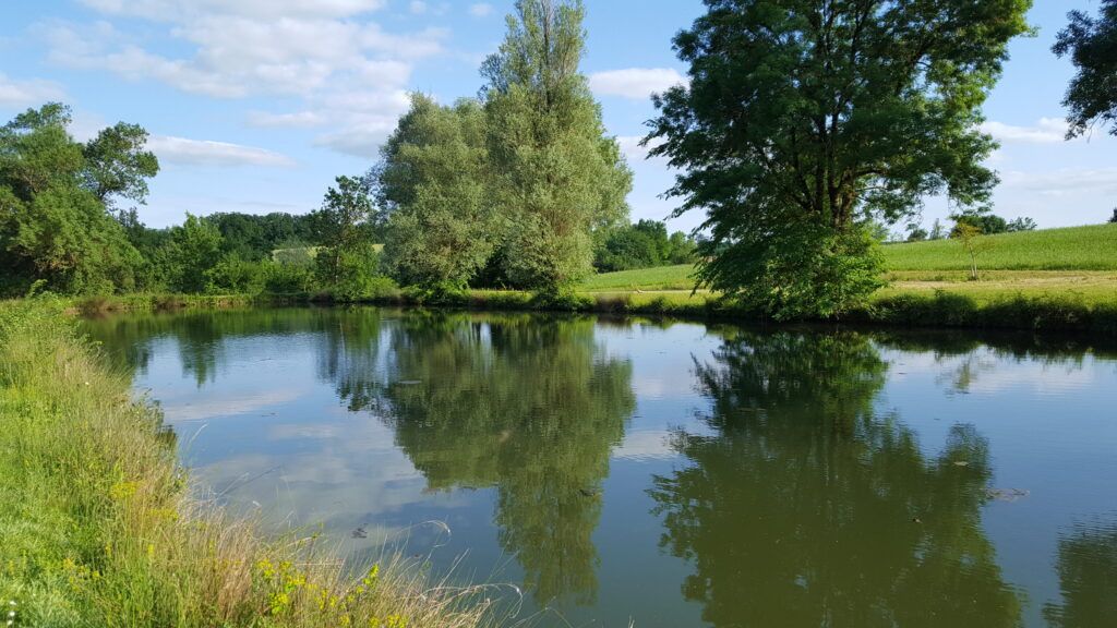 Domalain MAISON CAMPAGNE AVEC 13 000 M²- 4 CHAMBRES- SANS VIS A VIS- PIECE D'EAU