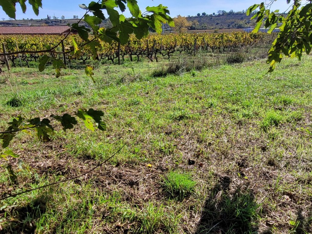 JOYEUSE Terrain Lablachère de 472 m2 2